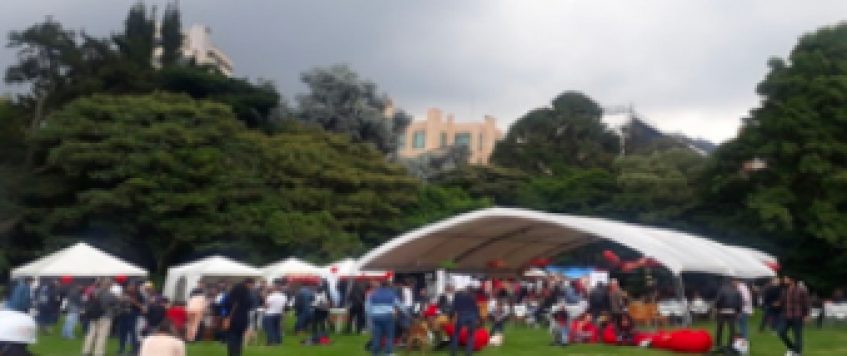 VIII FESTIVAL DE PRIMAVERA 2020